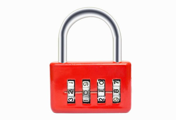 Travel Locks With Advanced Features: What To Look For - 1st-in-Padlocks